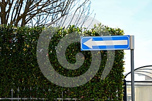 Road sign One Way Traffic and green shrubbery outdoors