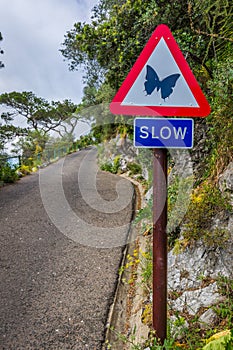 Road sign ordering slowing