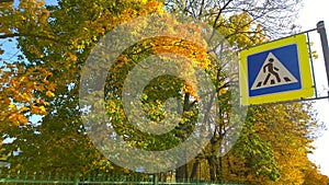 Road sign pedestrian crossing against orange and yellow trees. Golden autumn scenics in the town. Ecology and clean fresh air in u