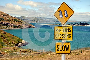 Road sign penguins crossing, Otago peninsula