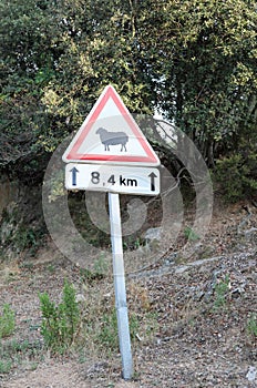 Road sign with shape of sheep on the road