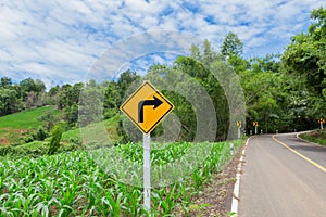 Road Sign, Sign, Traffic Arrow Sign, Directional Sign, Ahead Only Sign