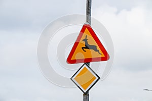 Road sign warning for deer crossing..