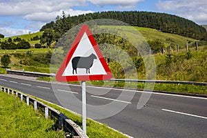 Road Sign Warning of Sheep in Wales