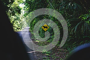 Road sign with warning of wild jaguars along the way to Tikal, Peten, Guatemala