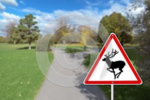 The road sign warns about wild animals