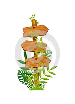 Road signs with branches frames. Game elements plants of jungle and cartoon frames with space for text. Vector direction signs and