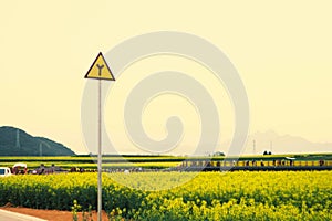 Road signs with Yellow rapeseed flowers Field at Luoping County, China