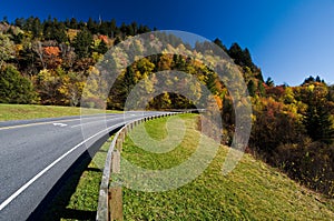 Road through Smoky Mountains National Park