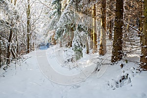 Road  with snow