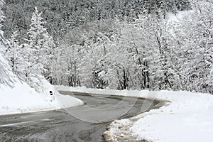 Road in the snow