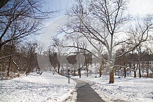 Road and snow at Central Park