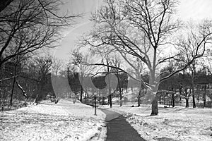 Road and snow at Central Park in black and white style