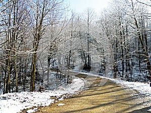 Road in snow covered forest , Iran