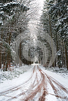 Road through a snow covered forest, slippery and frosty street in winter, empty highway in cold temperature, seasonal weather