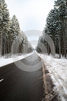 Road through a snow covered forest, slippery and frosty street in winter, empty highway in cold temperature