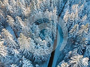 road in snow covered forest, top down aerial view