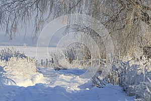 Road through snow drifts