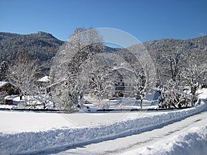 Road in snow and houses in winter landscape