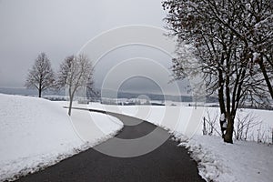 Road, snow and trees