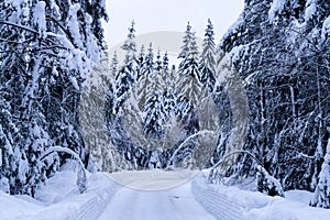 Cesty po sneženie v nórsky les 