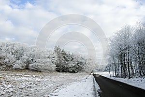 Road in snowy countryside