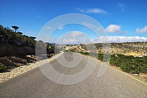 The road on Socotra island, Indian ocean, Yemen