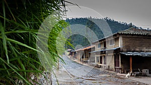 Road through south ameican village