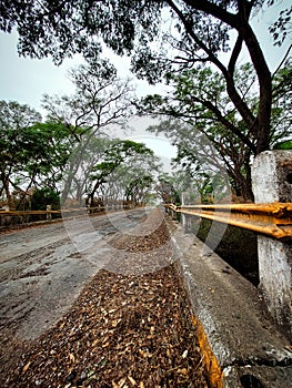 Road in southamerica landscape photo