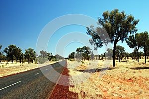 A road through spinifex plains