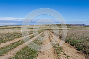 Road in the steppe