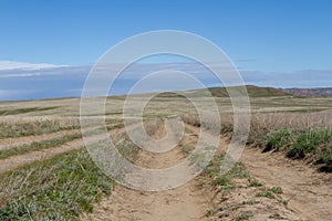 Road in the steppe