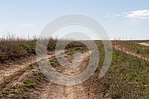 Road in the steppe