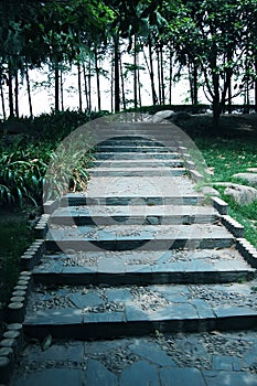 Road steps