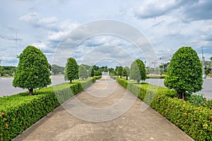 Road straight orderly ornamental garden