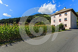 Road in Strassen village with green fields and traditional house , Carinthia, The Alps, Austria