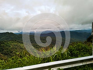 Road street silver safeguard side view window stop valley hill fog foggy mountain rain forest green nature curves pai