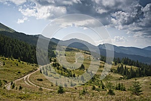 Road in subalpine meadow in the Carpathian mountains