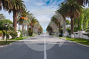 Road in the suburbs leading to the sea among the palms, Tunis