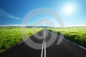 Road in summer Iceland