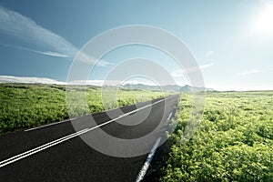 Road in summer Iceland