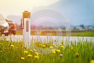 Road in the summer: reflector post, cars, flowers and green grass. Sunbeam