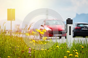 Road in the summer: reflector post, cars, flowers and green grass. Sunbeam