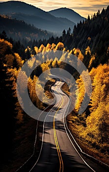 Road on a sunny day in golden autumn. Beautiful road, Landscape with an empty highway in autumn