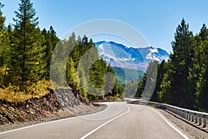 Road surrounded by forest leads to the snow-covered North-Chuya range of the Altai mountains, Siberia, Russia