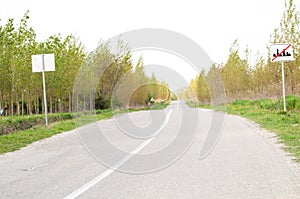 Road surrounded by green grass and wood.Road in nature.Outdoor