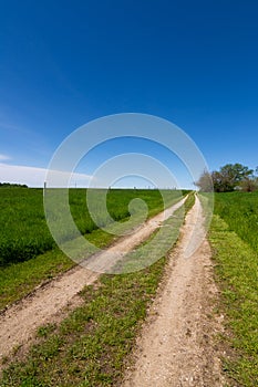 Road through the tallgrass prairie photo