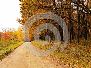 Road in Talsa park during autumn