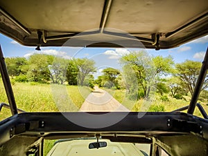 On the road through Tarangire National Park, Tanzania