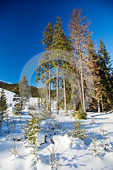 Silnice v Tatrách, Slovensko